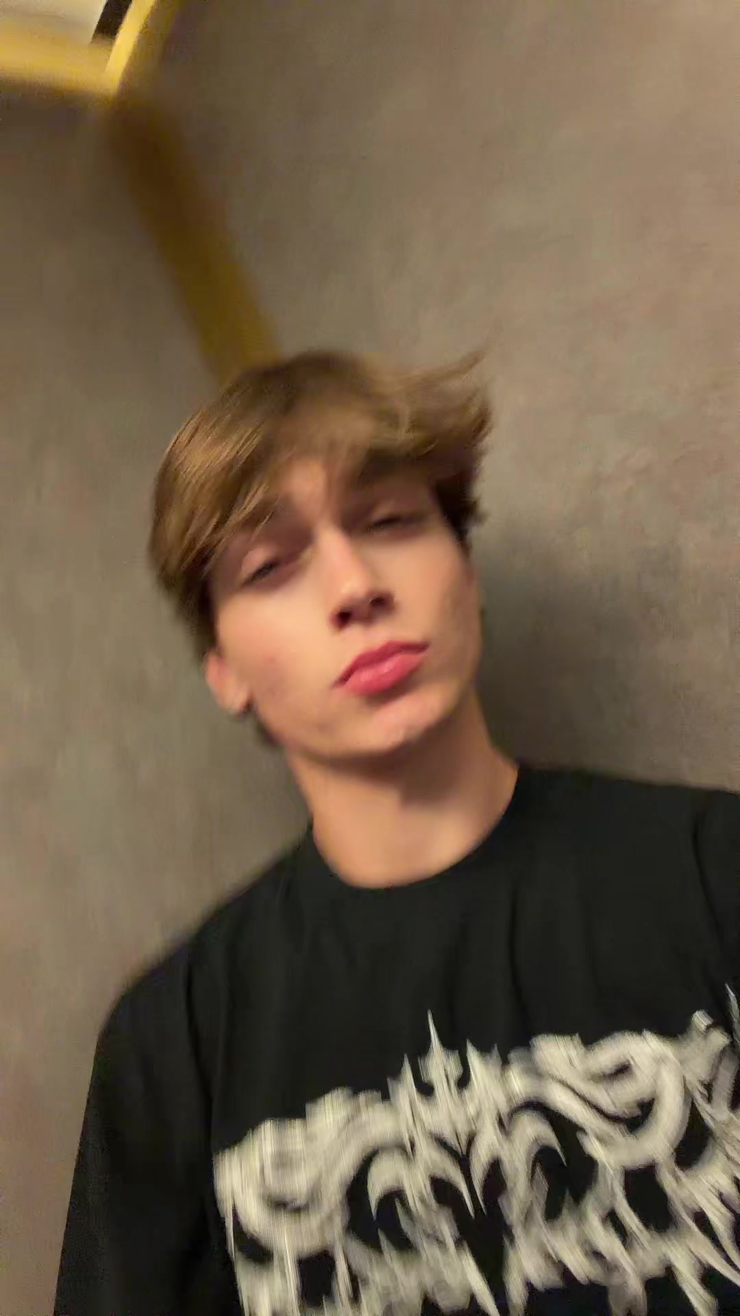 @340 Wilk