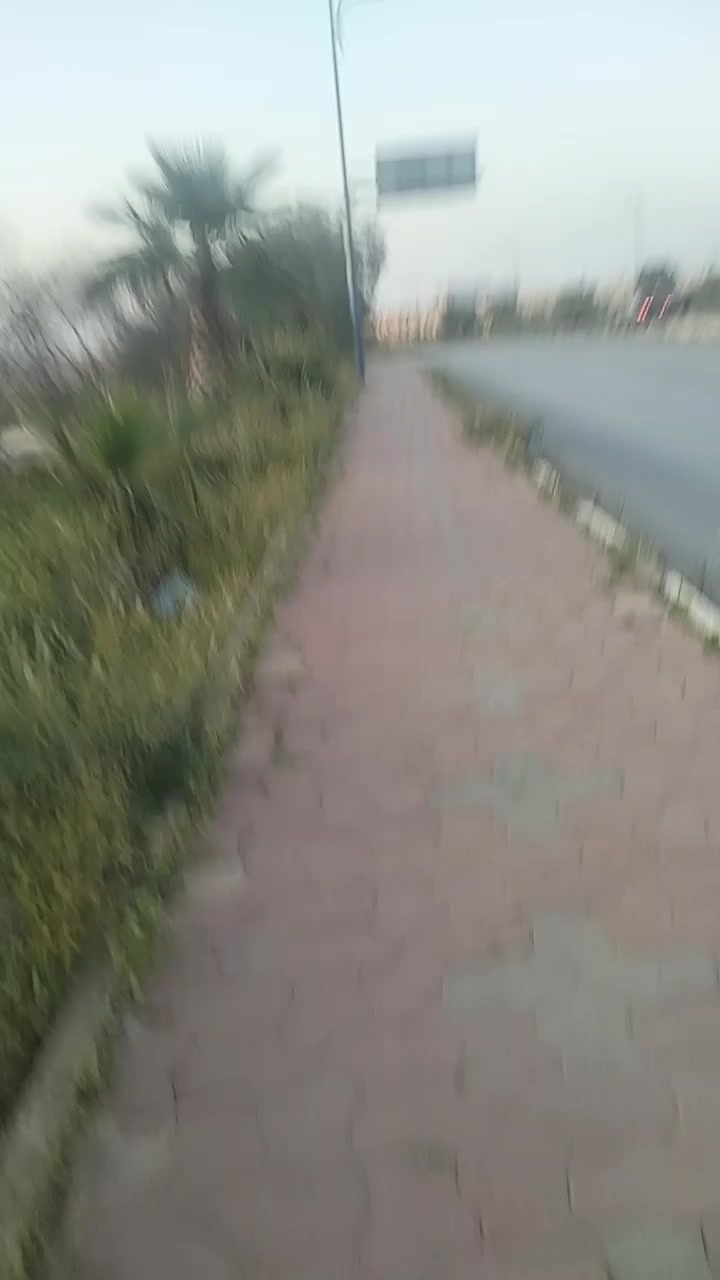 @salah dezam