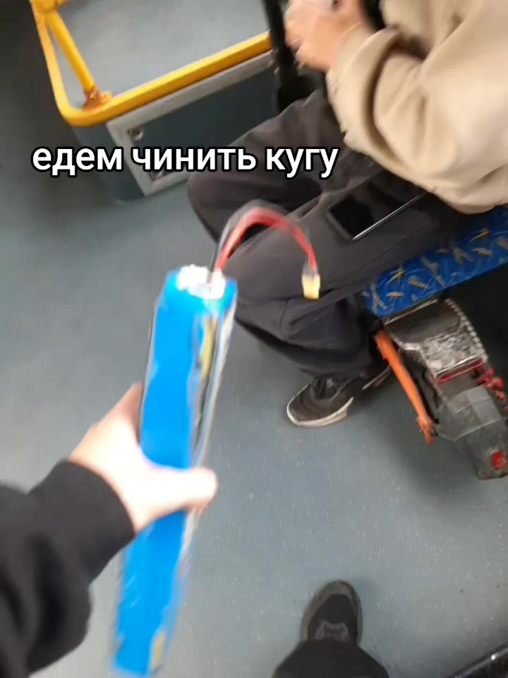 @RADEX | ЛИС #GOST