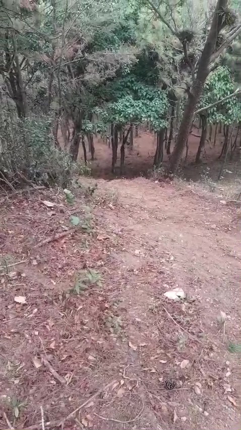 @Chuquito Peña Delgad