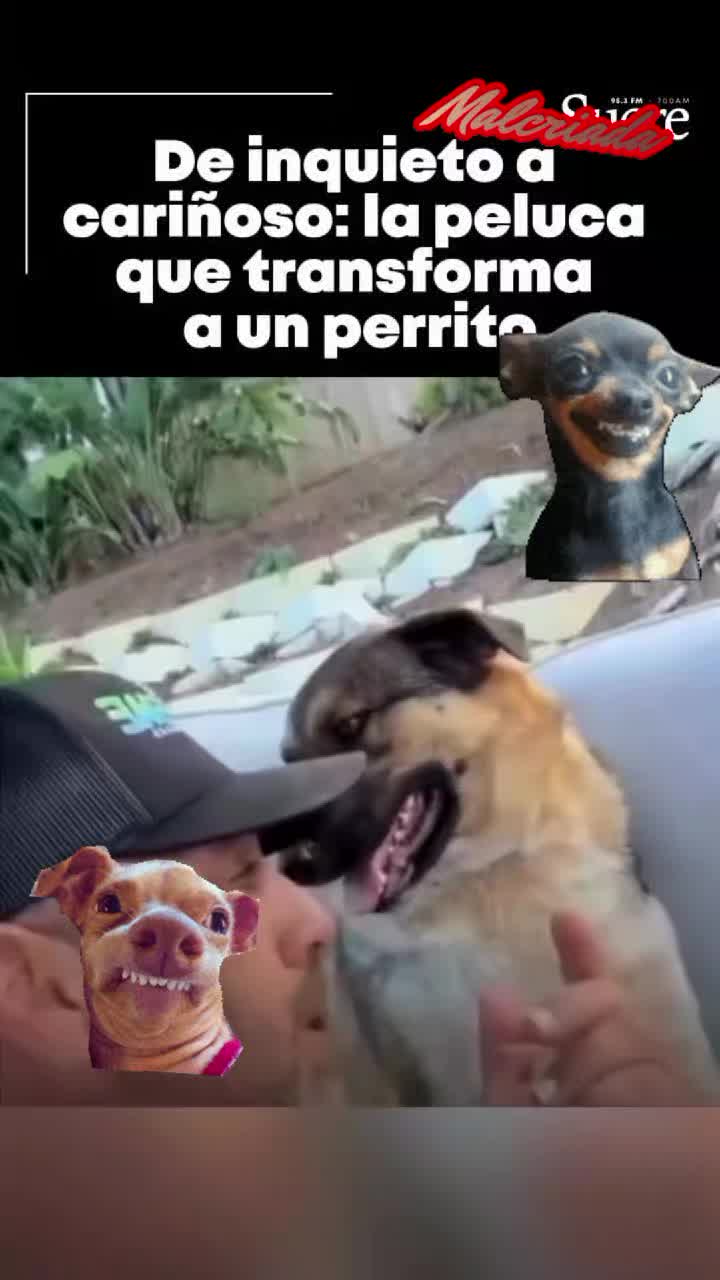 @Mariela Jiménez