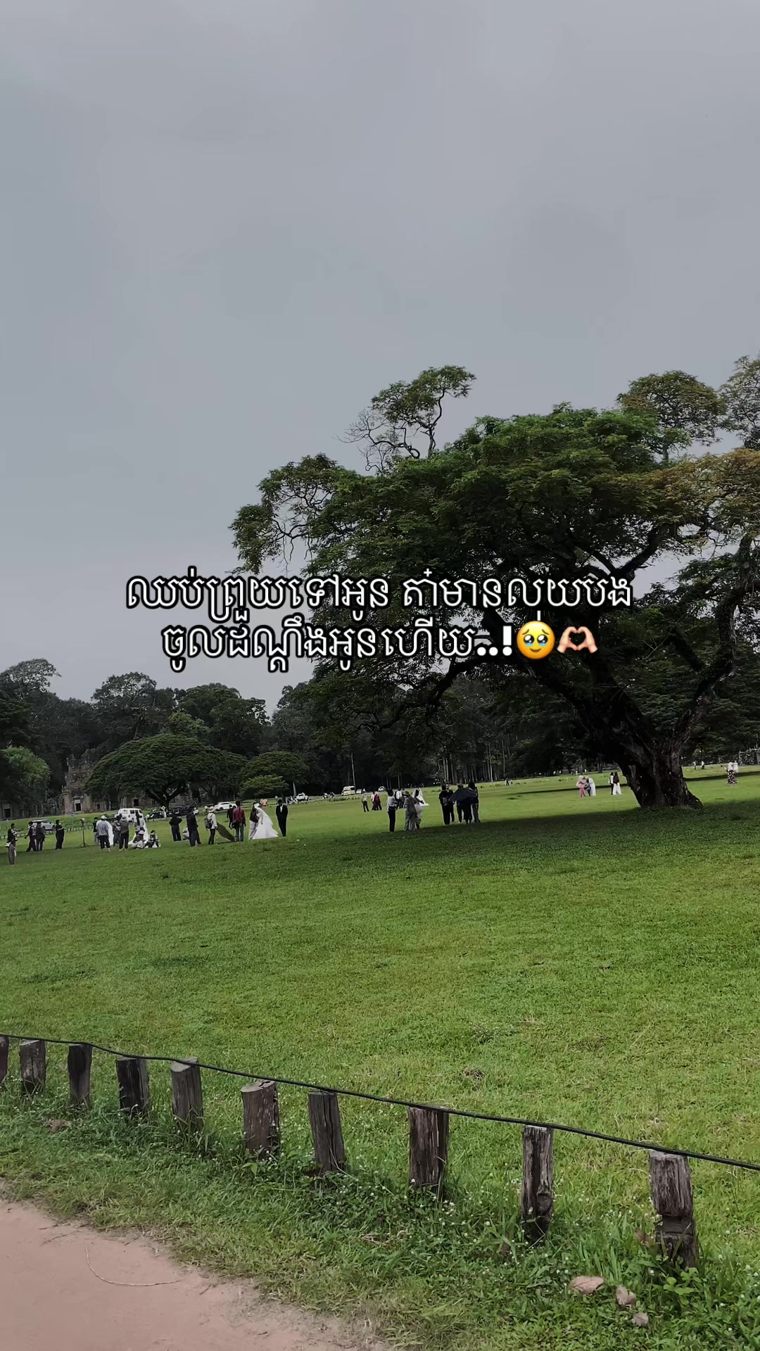 @โโคท ๐ ๐๐๐๐ ๐ แขแแแแแนแ โก
