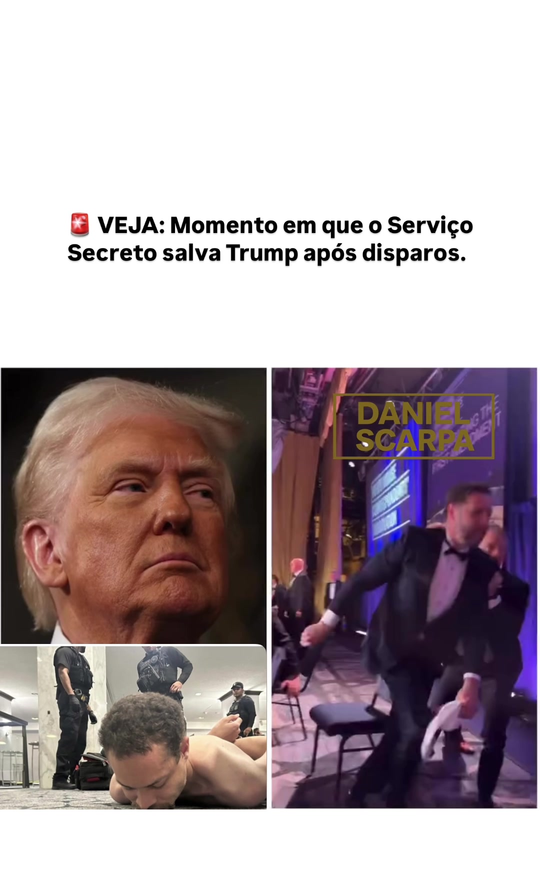 @danielscarpa_
