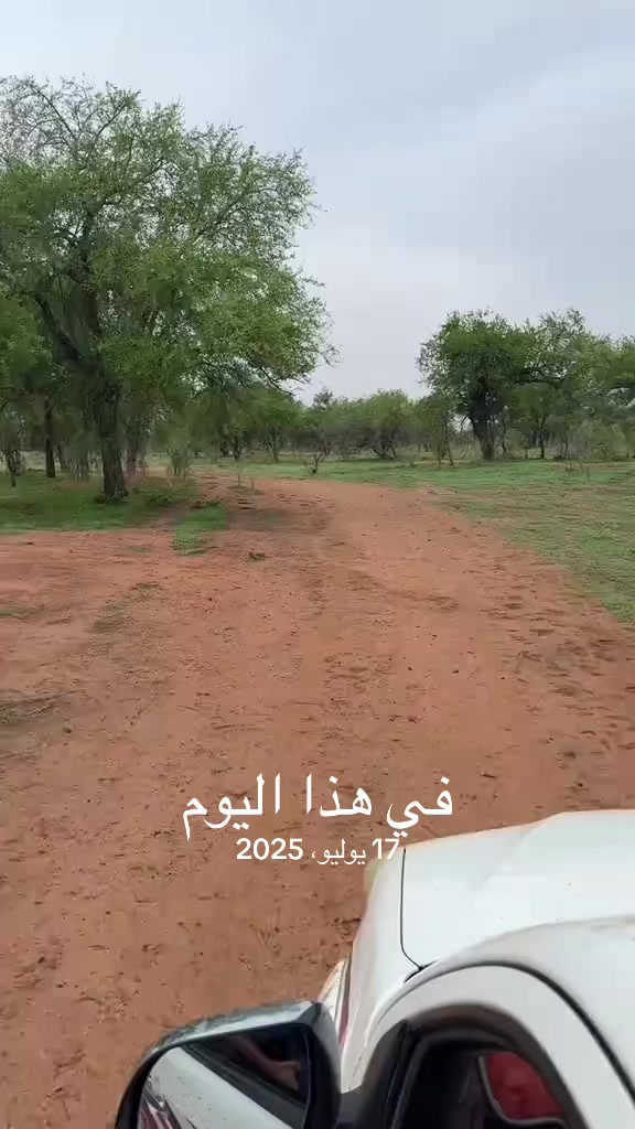 @ابوجليد محمد