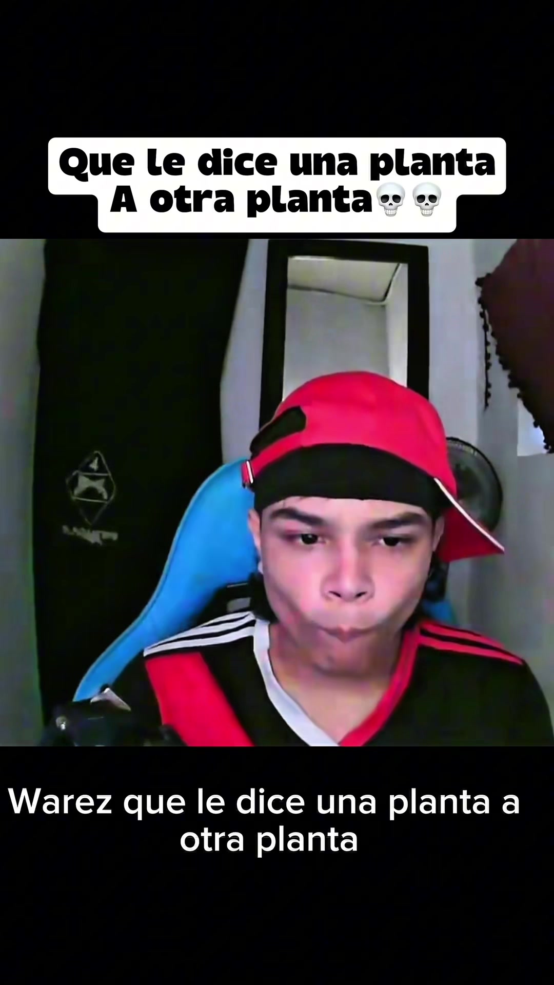 @Warez