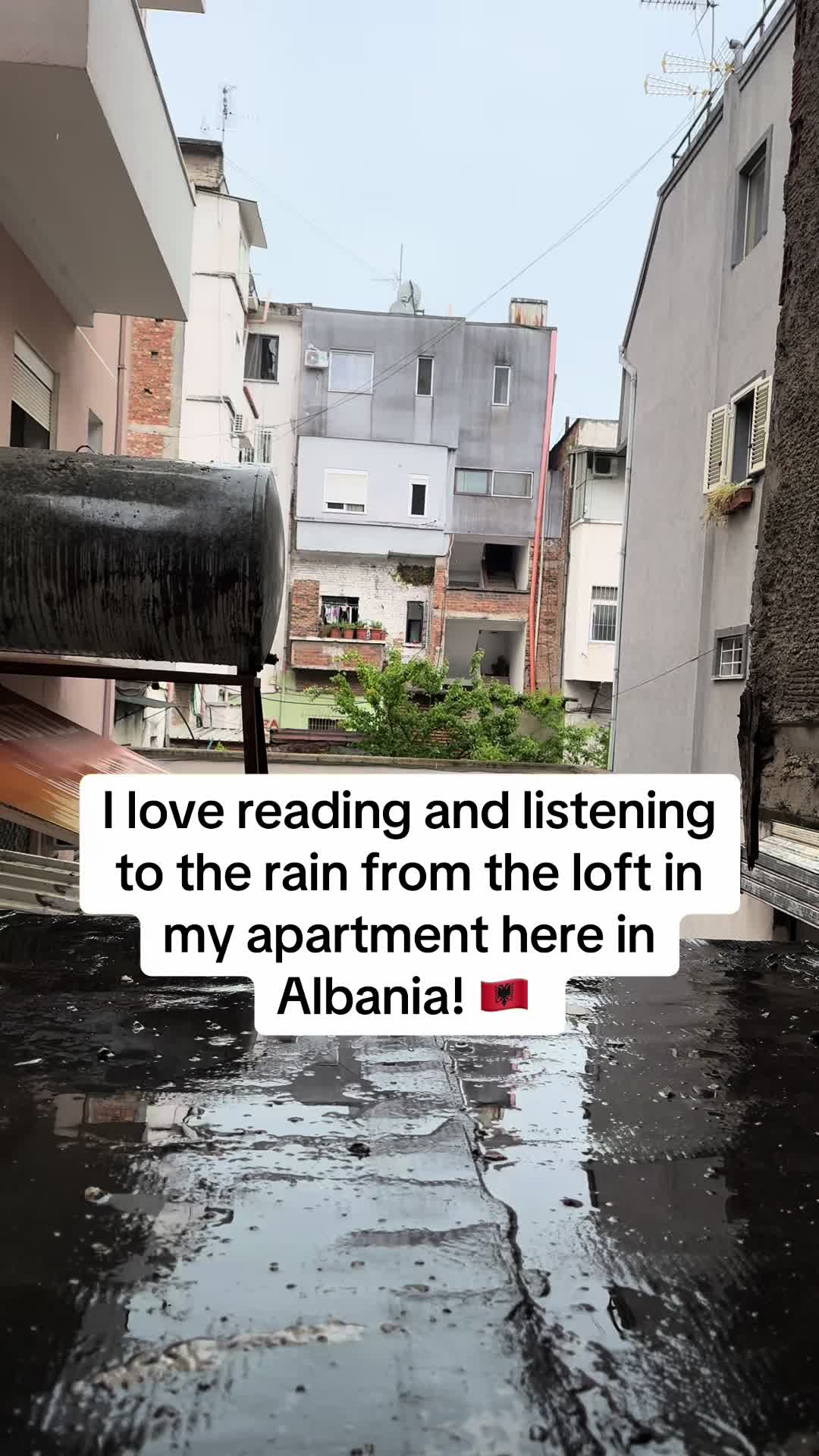 @angelakaye_wildlyrooted