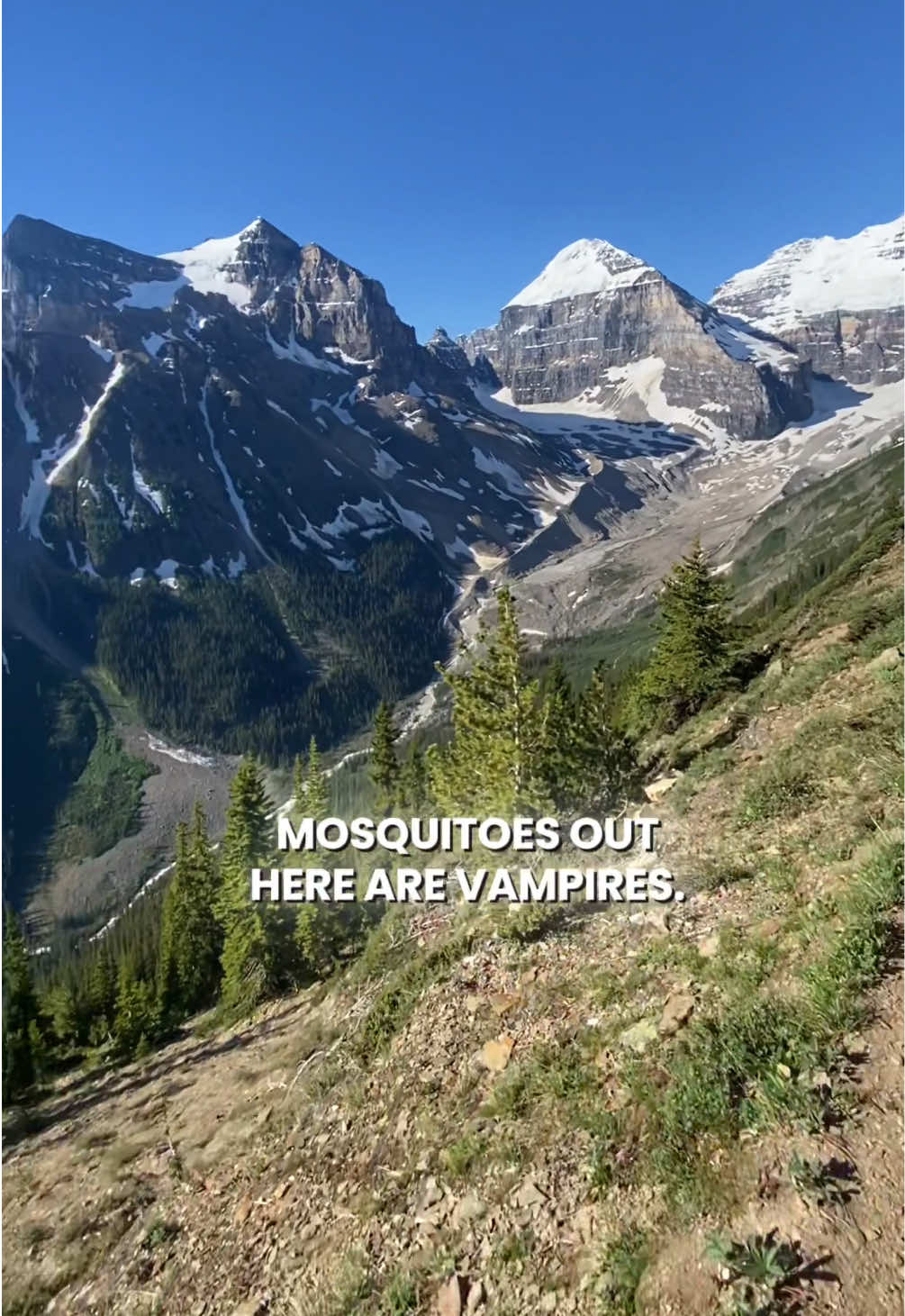 @I&rsquo;m Into Hiking 🇨🇦