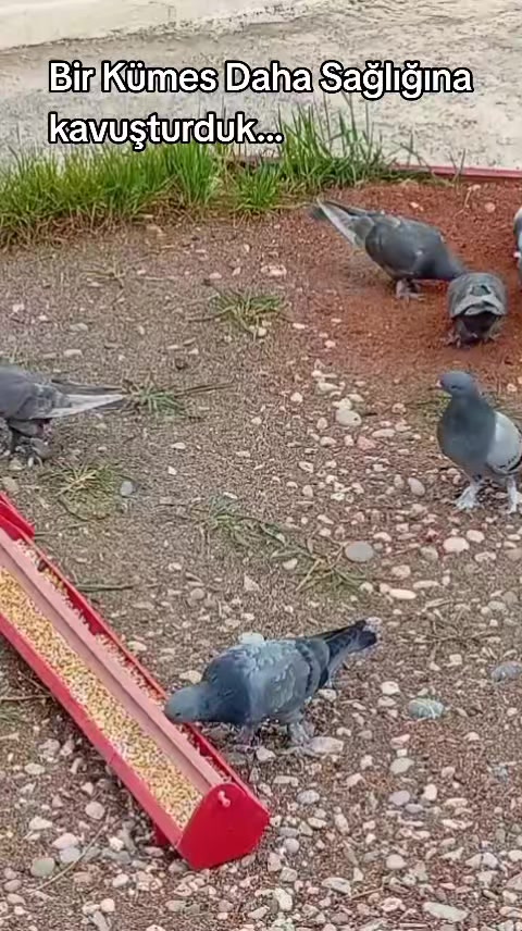 @G&Uuml;VERCİNLERE FISILDAYAN ADAM