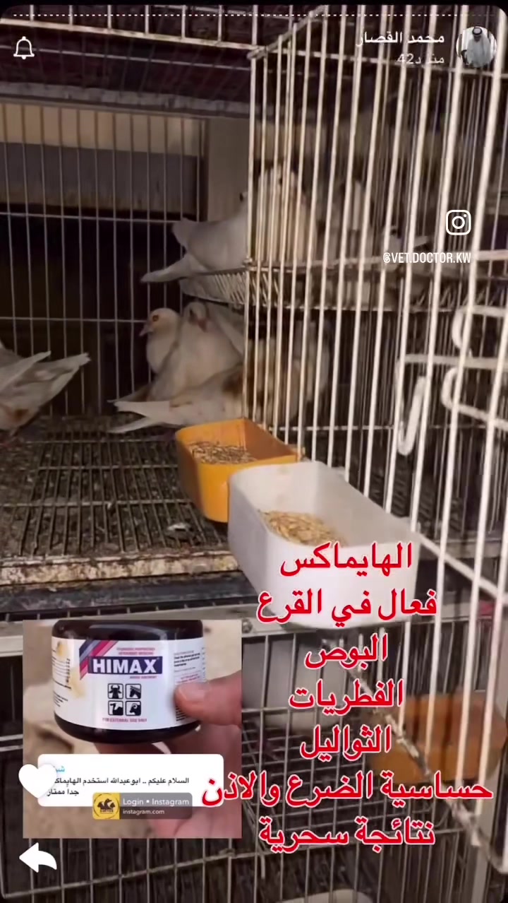 @mohamed_ksa0