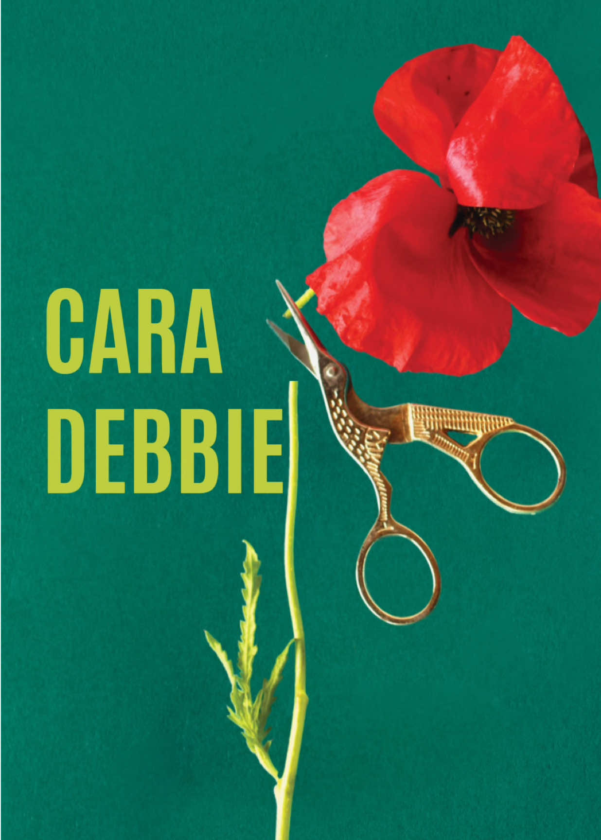 @newtoncomptoneditori