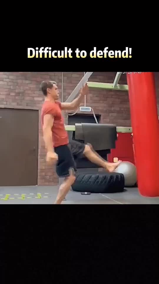 @fighting_kingfupanda
