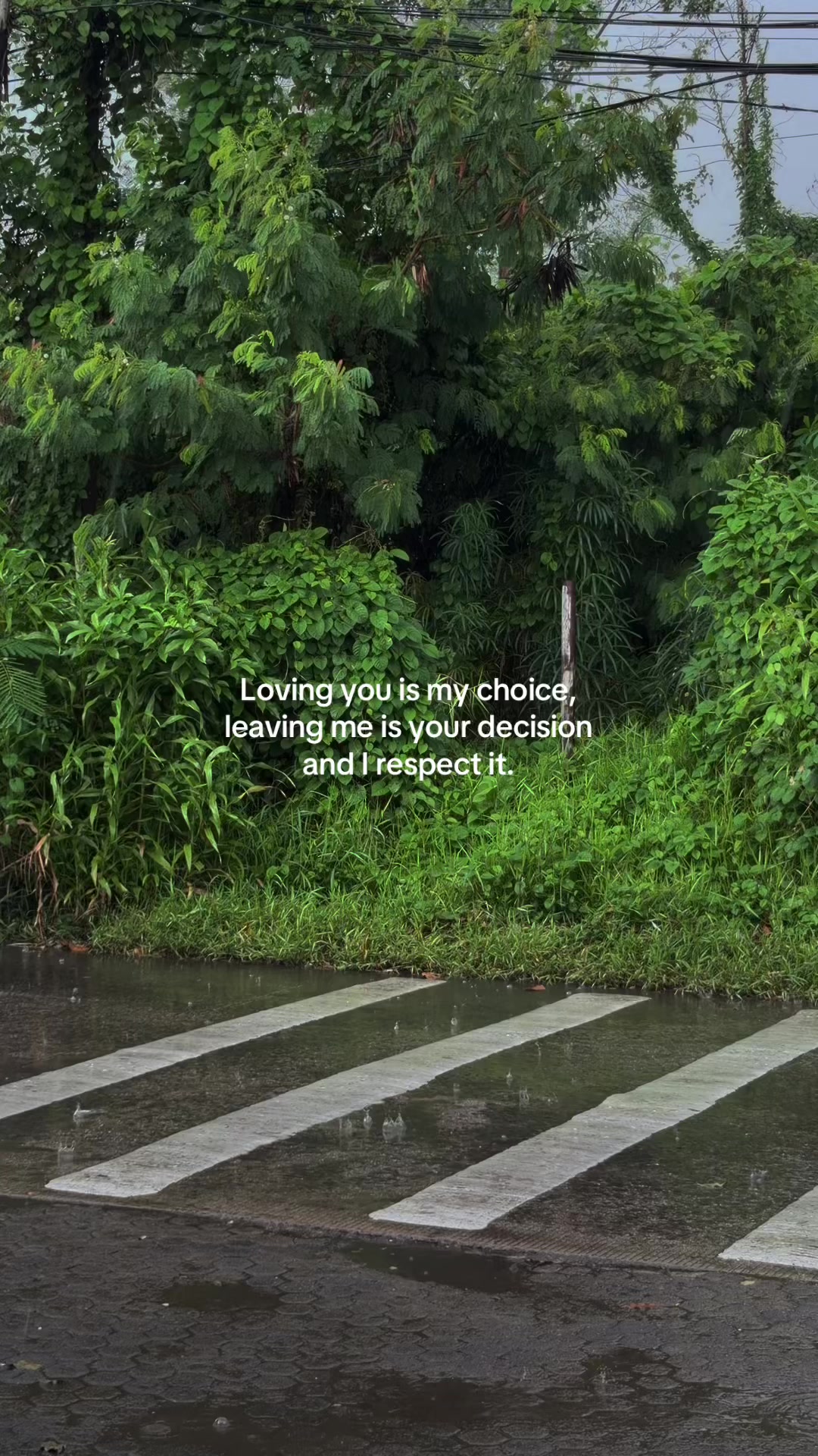 @𝗗𝗶𝗮𝗻𝘆