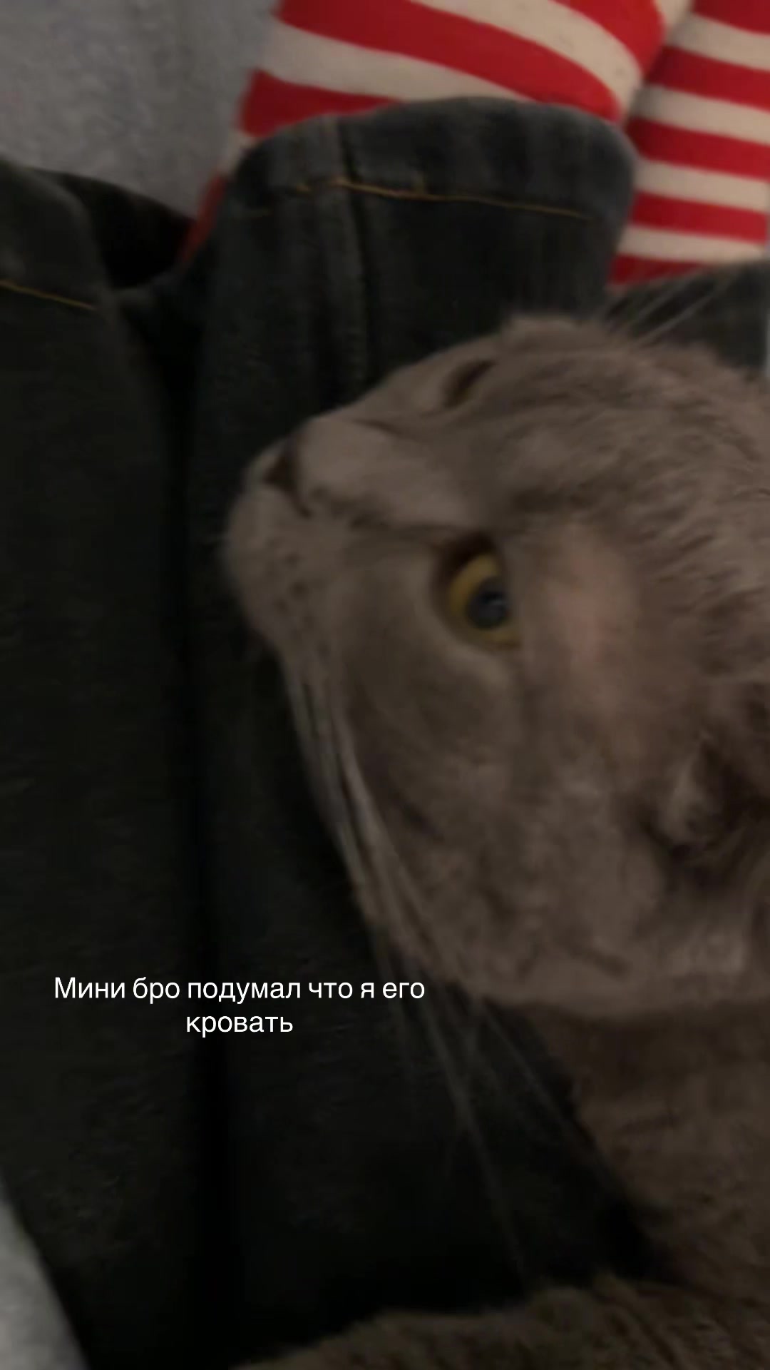 @варвар