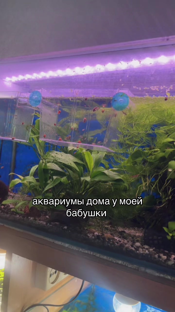 @Мусечко? 👨🏿❤️👨🏿