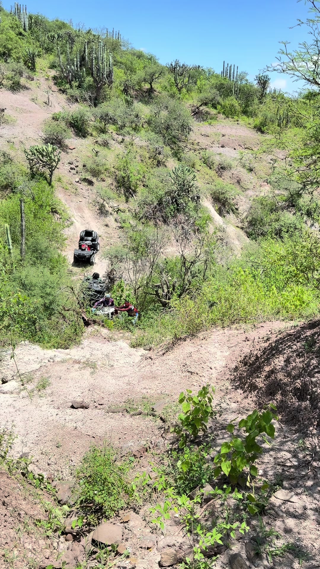 @Gonza Sober off Road