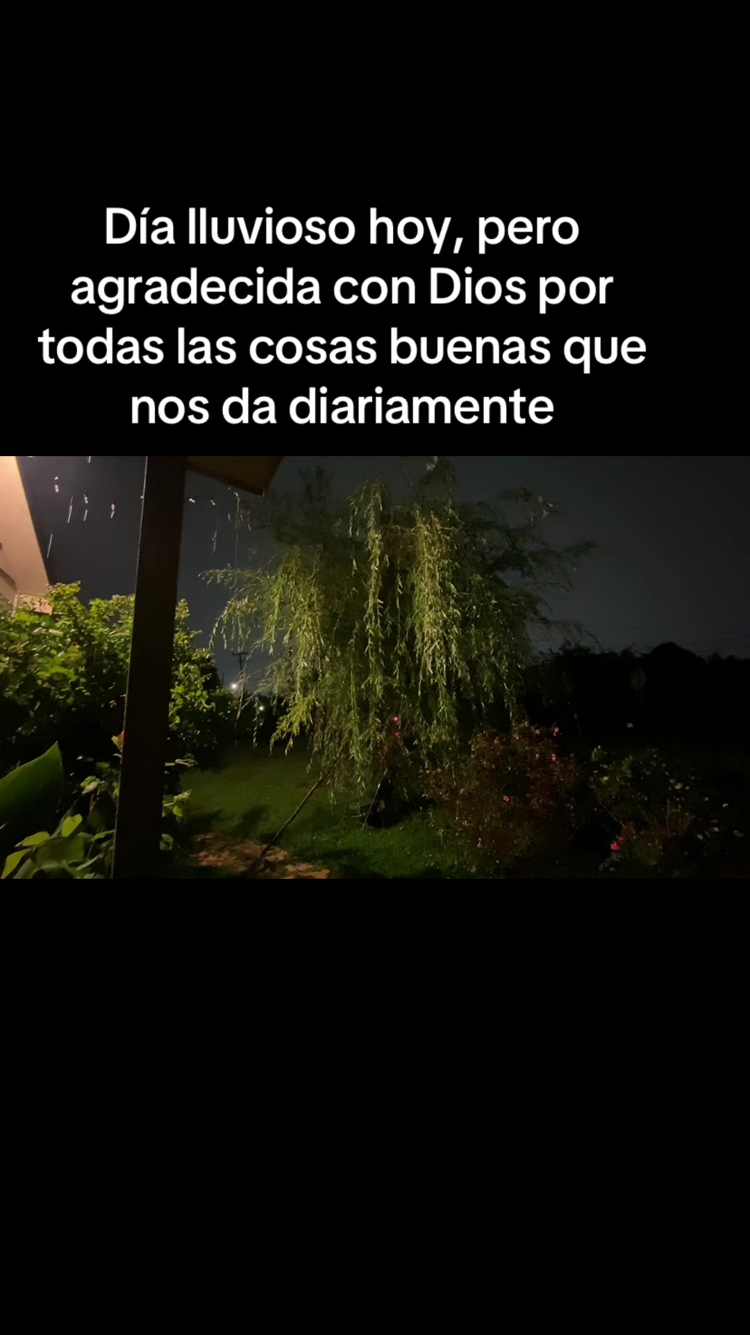 @Flor Avila