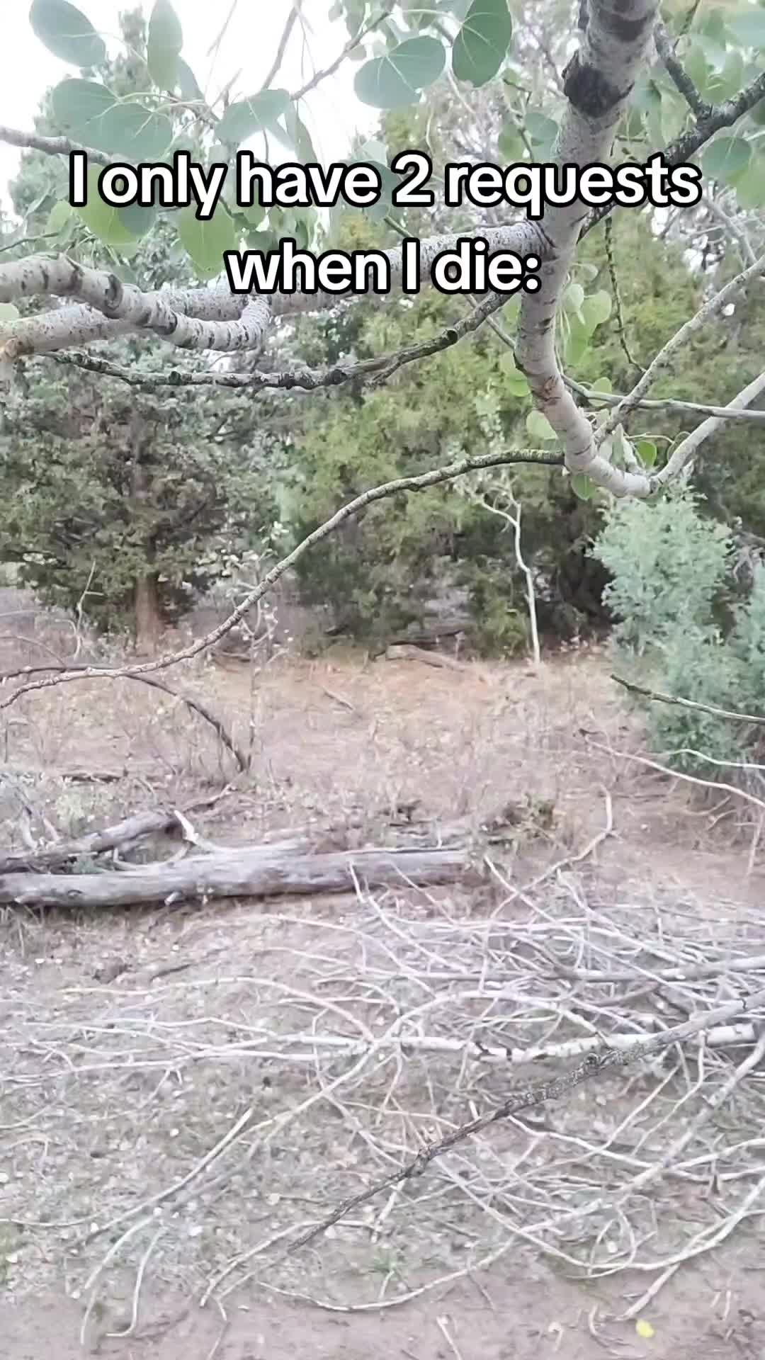 @6H Outdoors ❌️