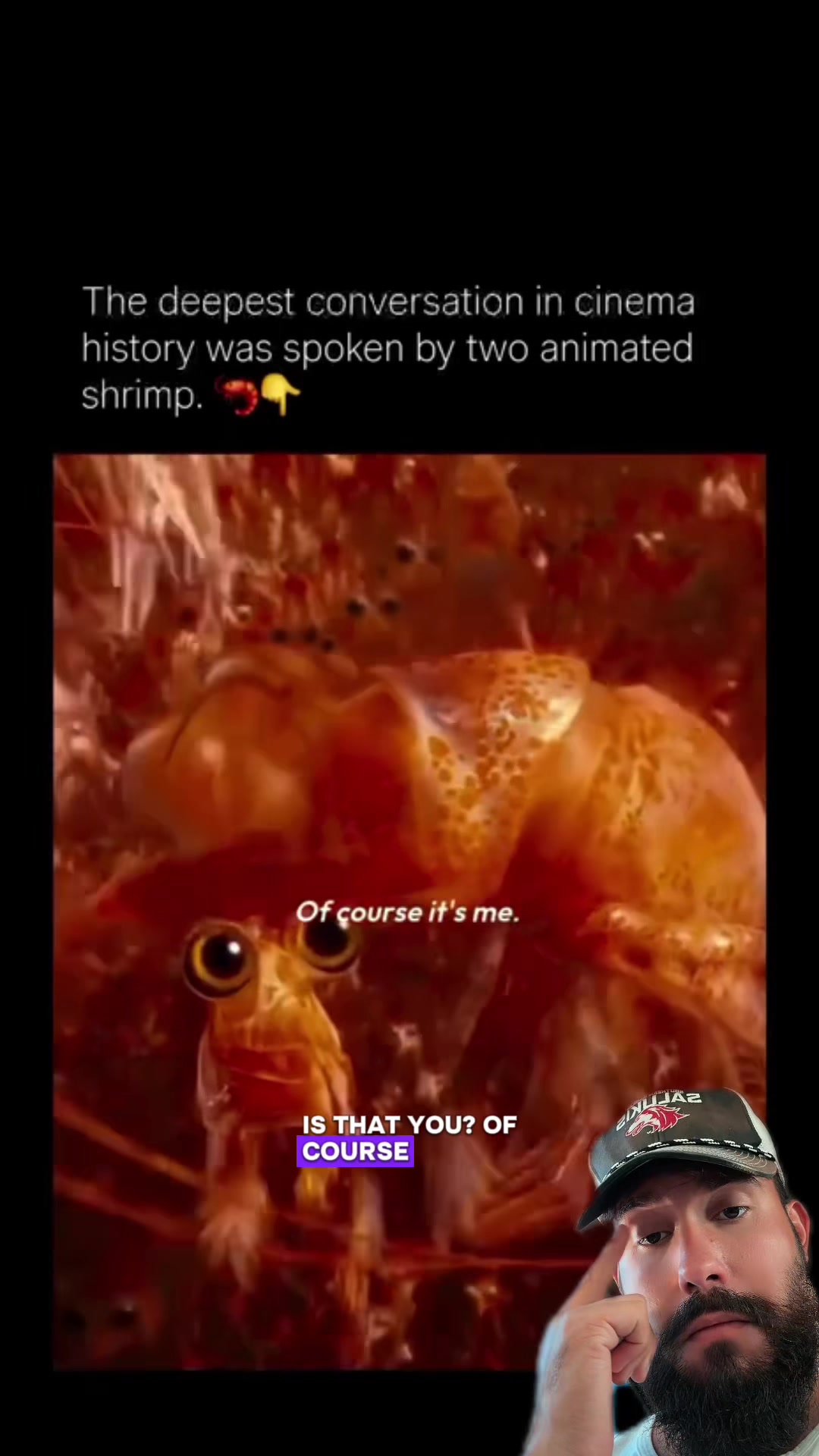 @professor_garrido