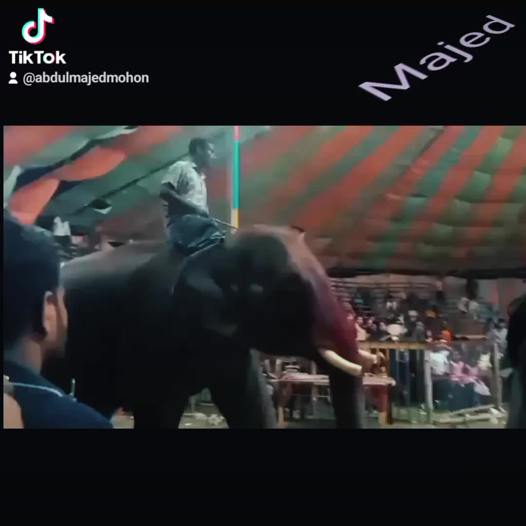 @MD abdulmajed7754mohon tik Tok