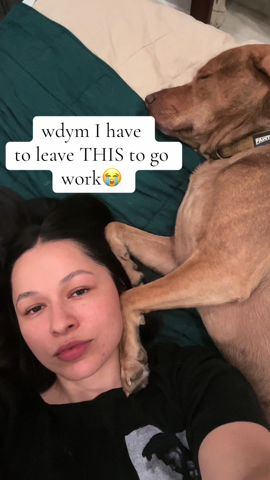 @kit.katfit