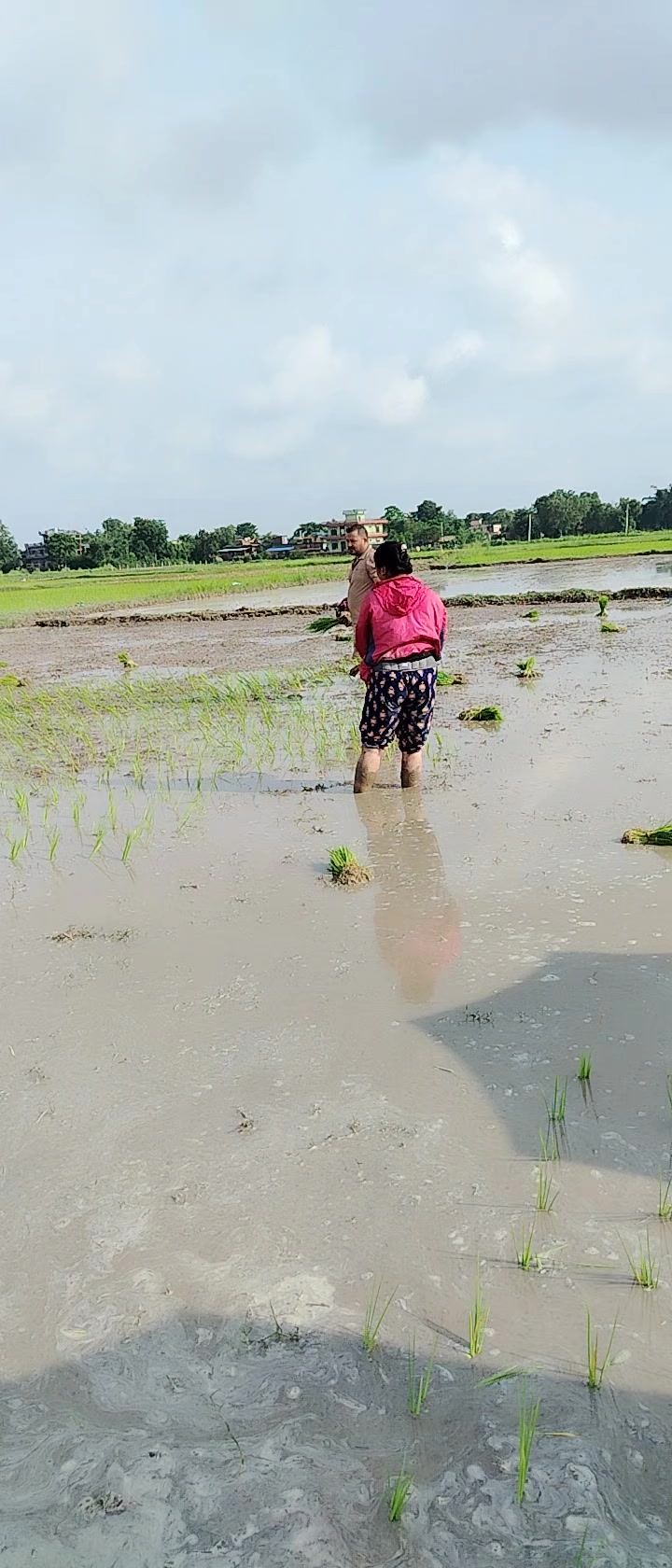 @prem kunwar.