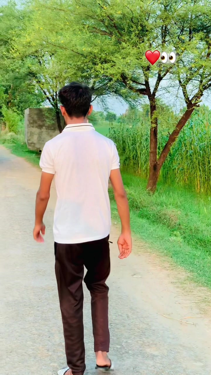 @mirza302
