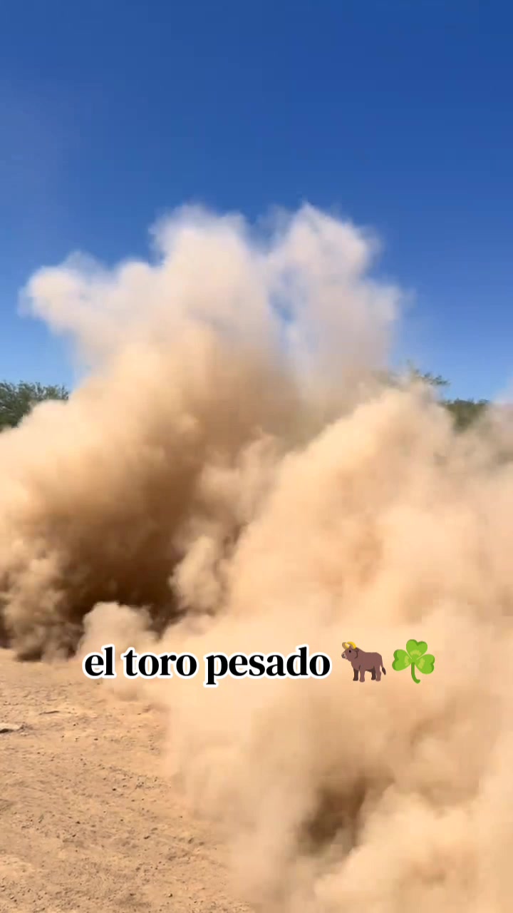 @el toro pesado 🐂☘️