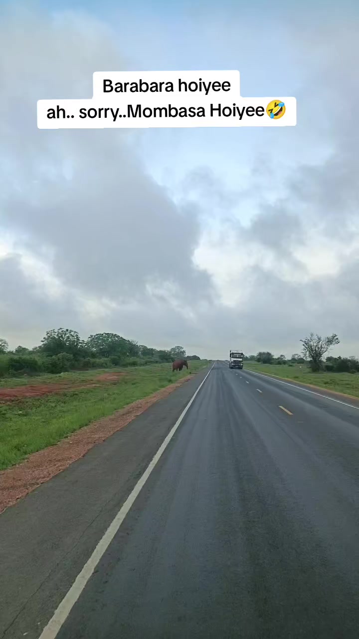 @NDUMBULE