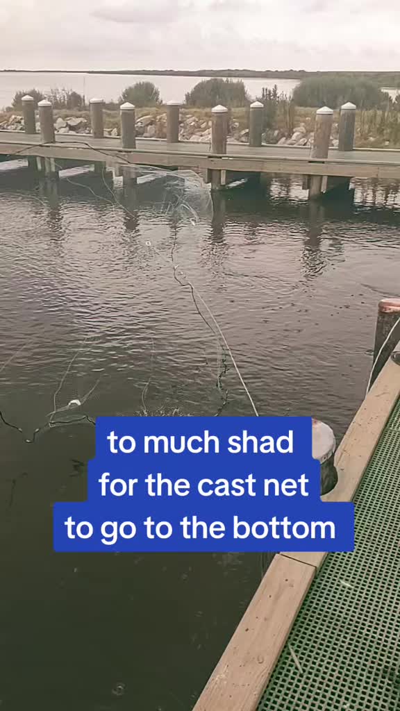 @SALTWATER SAB OUTDOORS