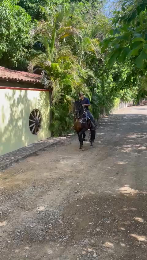 @K.borja🐴