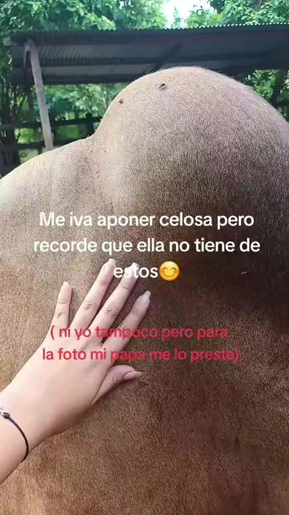 @🌴🌸Ãłøňđřä🌴🌸