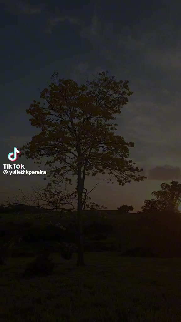 @lahermosaentiktok