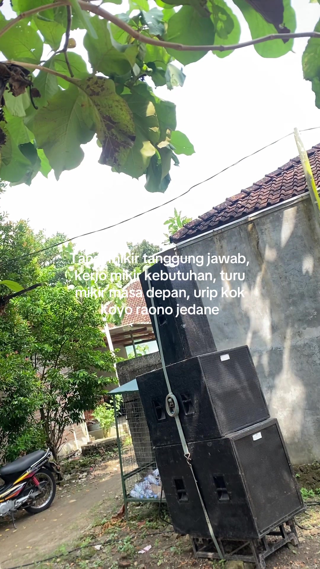 @DMS audio