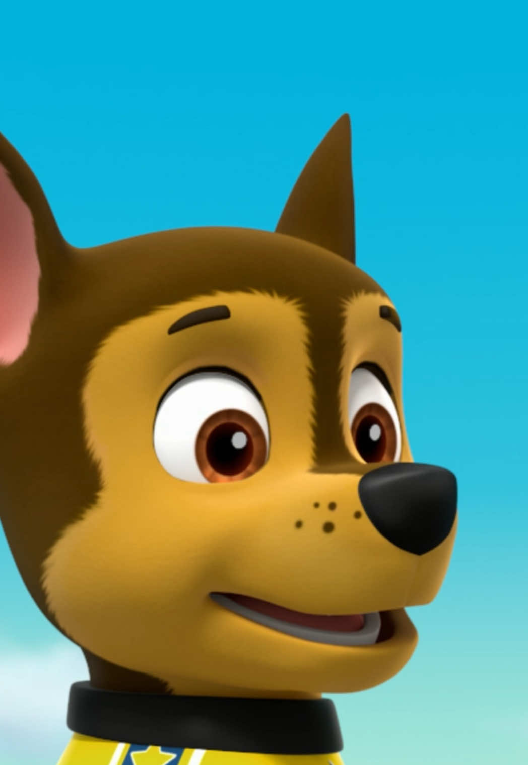 @pawpatrol