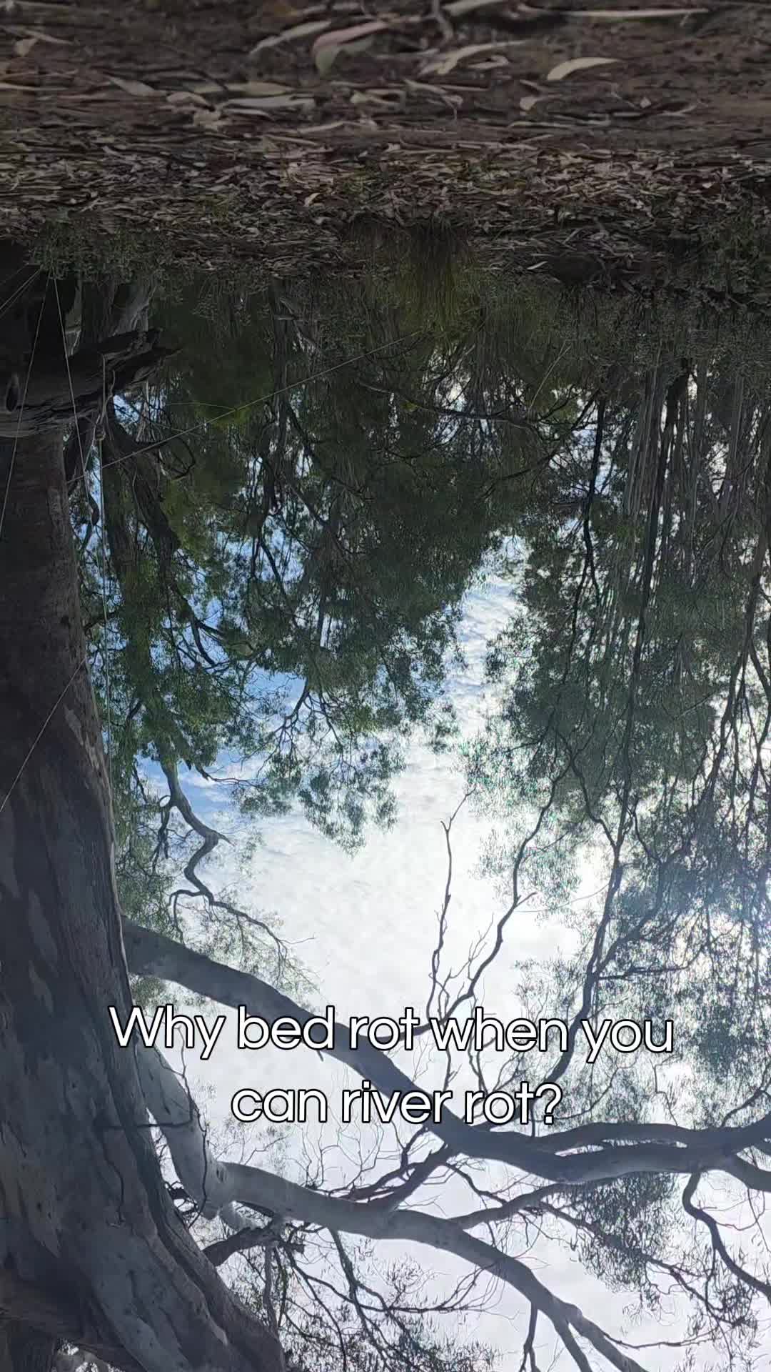 @Michelle