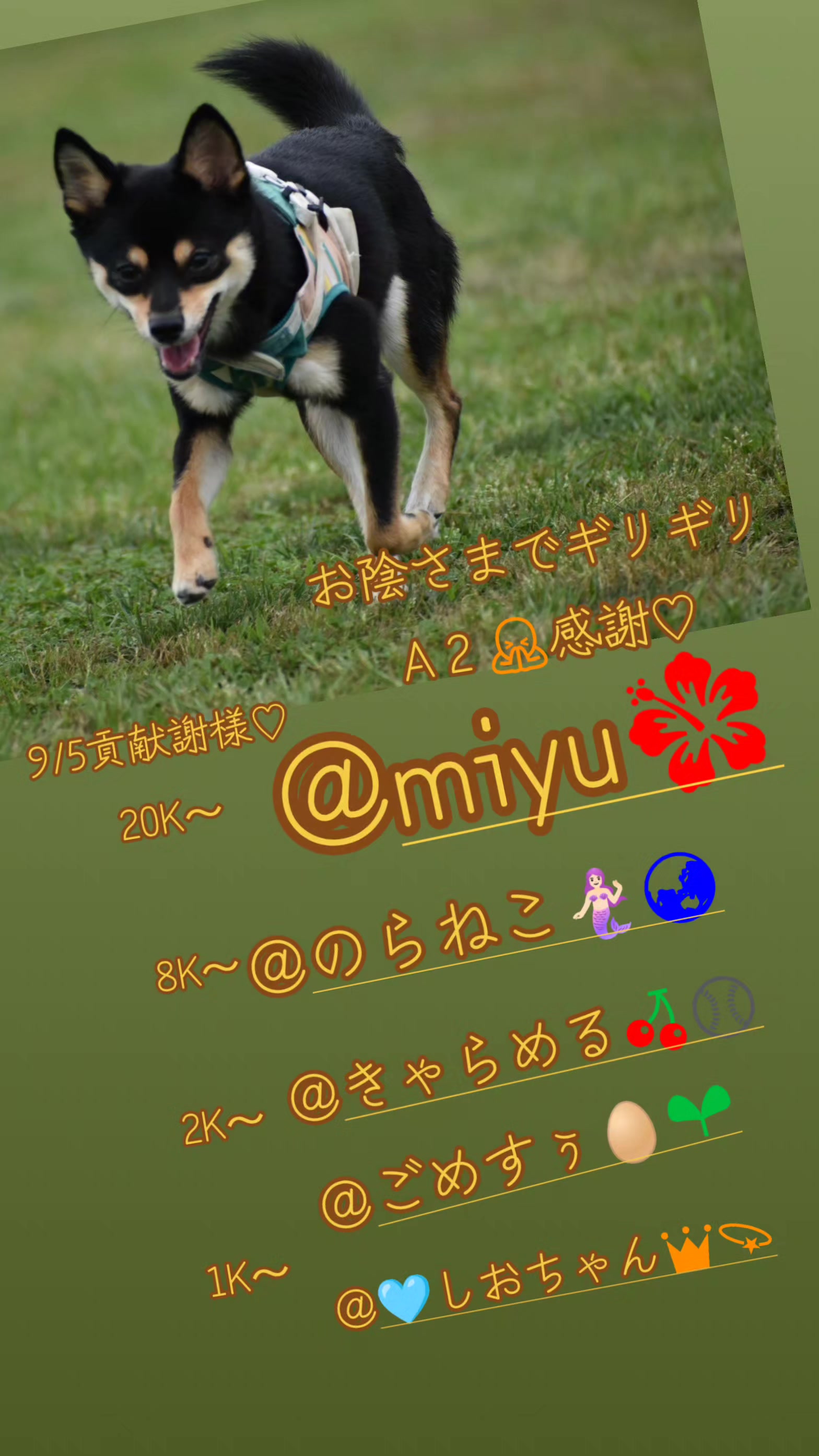 @🍀🍦きむ🍀🍦Kim🍀🍦キム🍀🍦