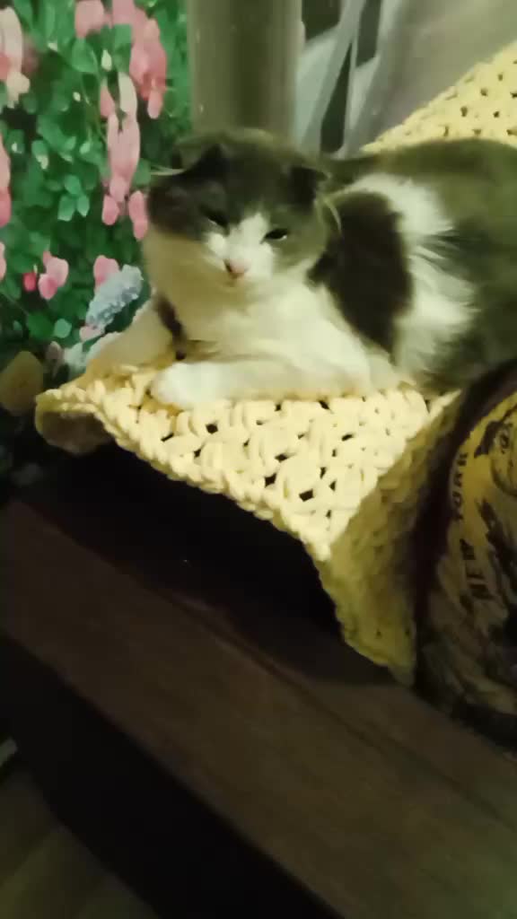@Наталя Марковець
