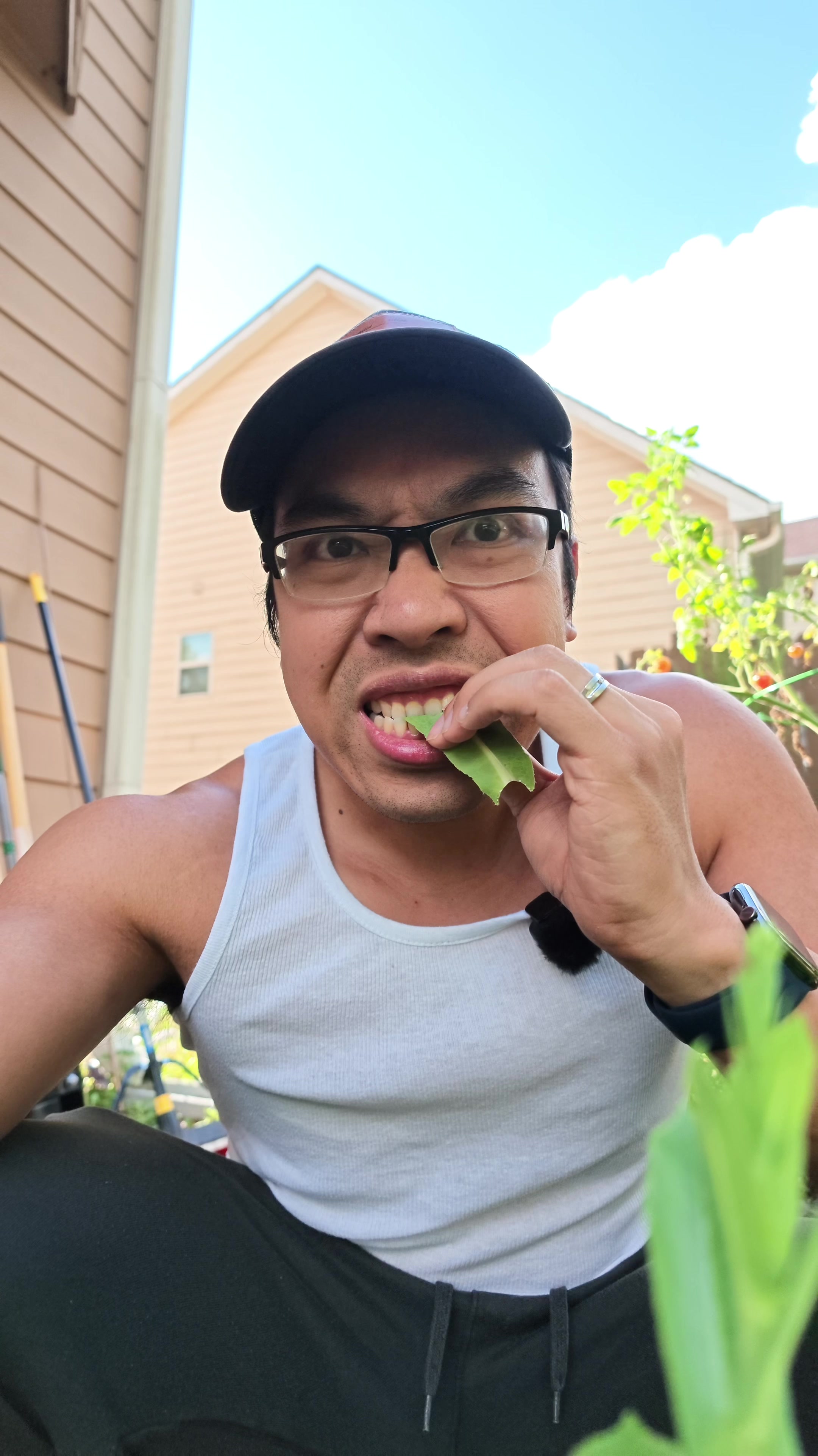 @Buff Gardener