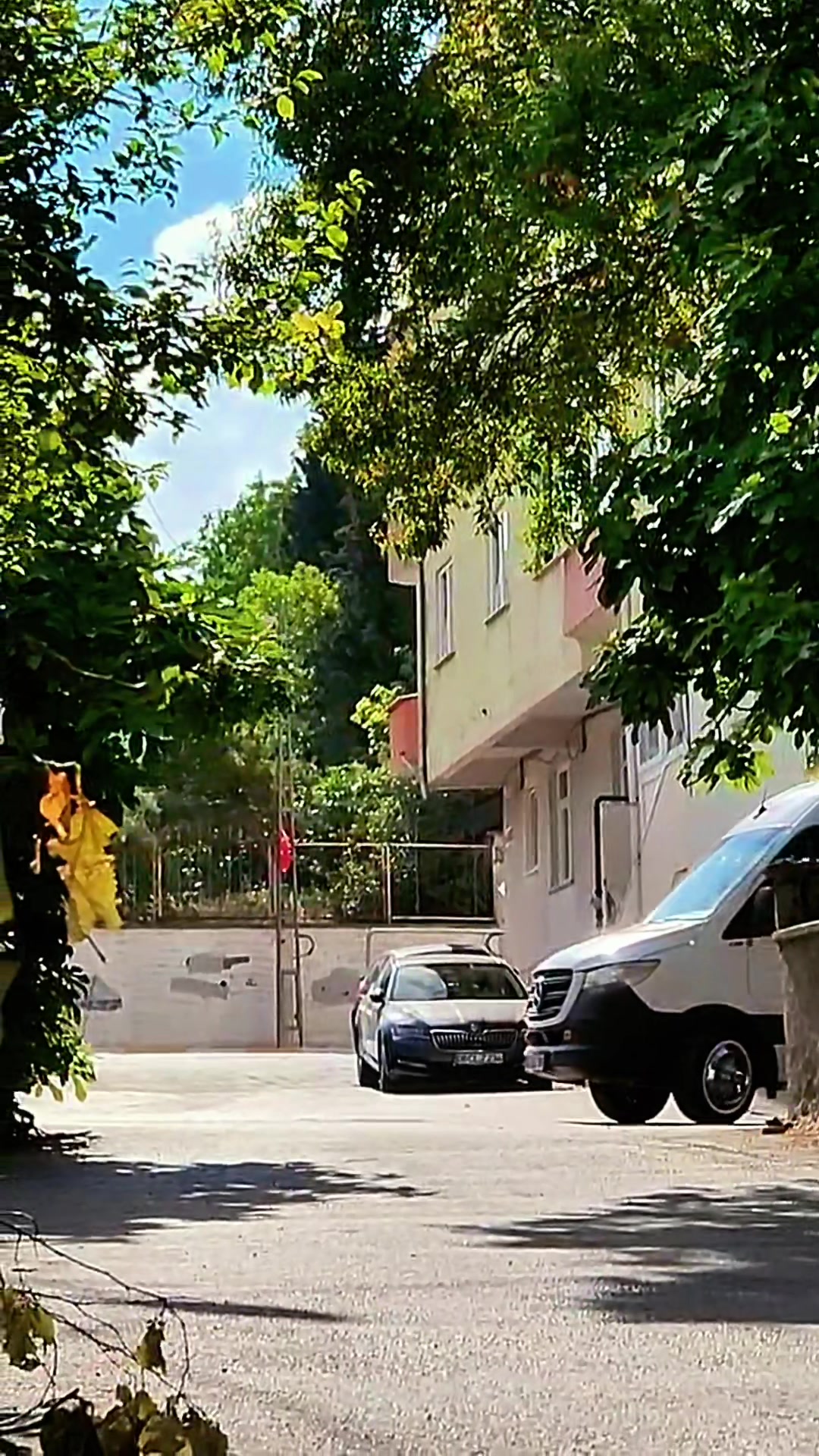 @Güven m güçlü GMG✅