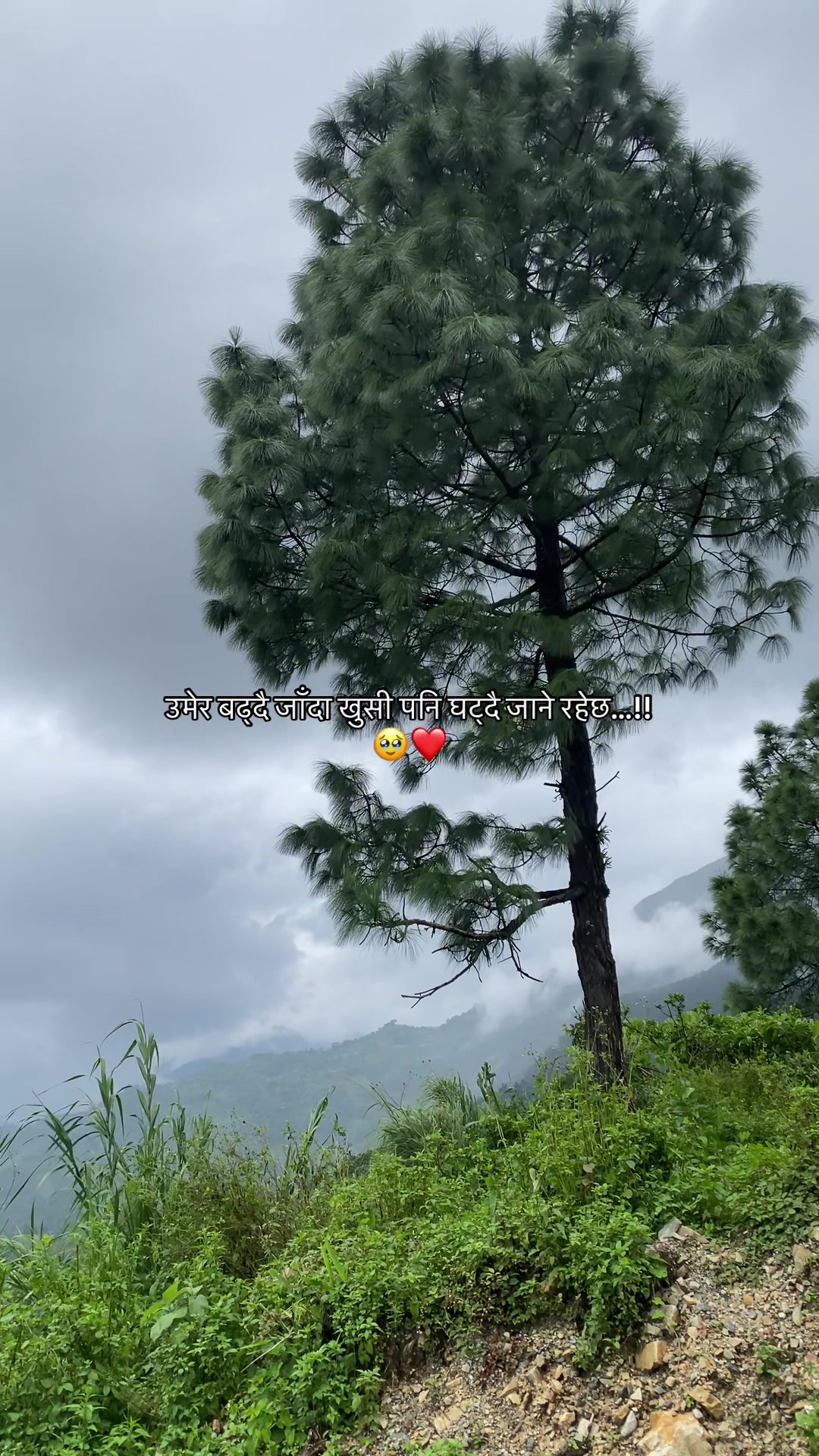 @Mr_ Chhetri🇳🇵