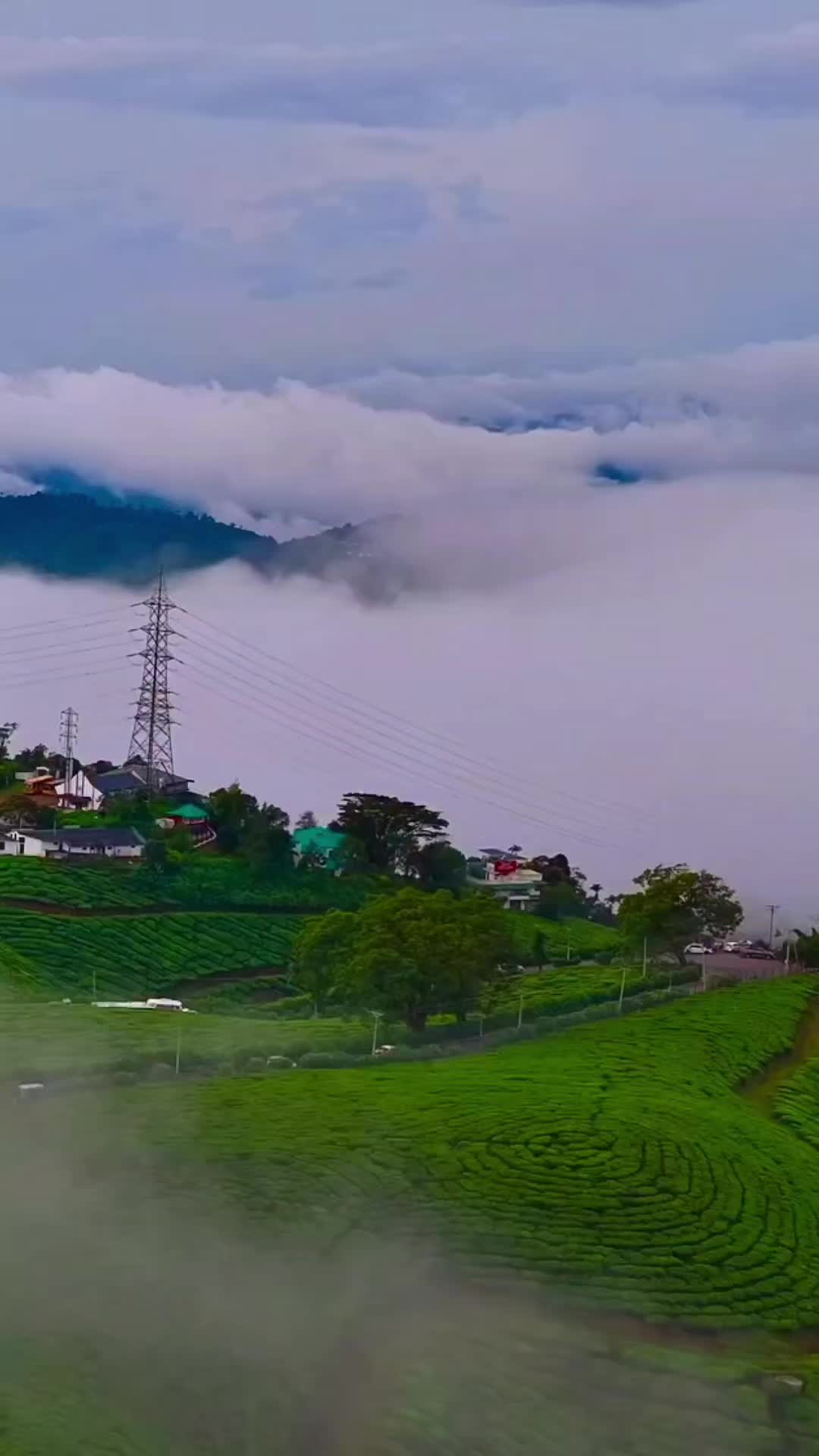 @noufal_kl10