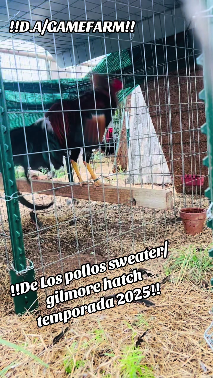 @DAgamefarm