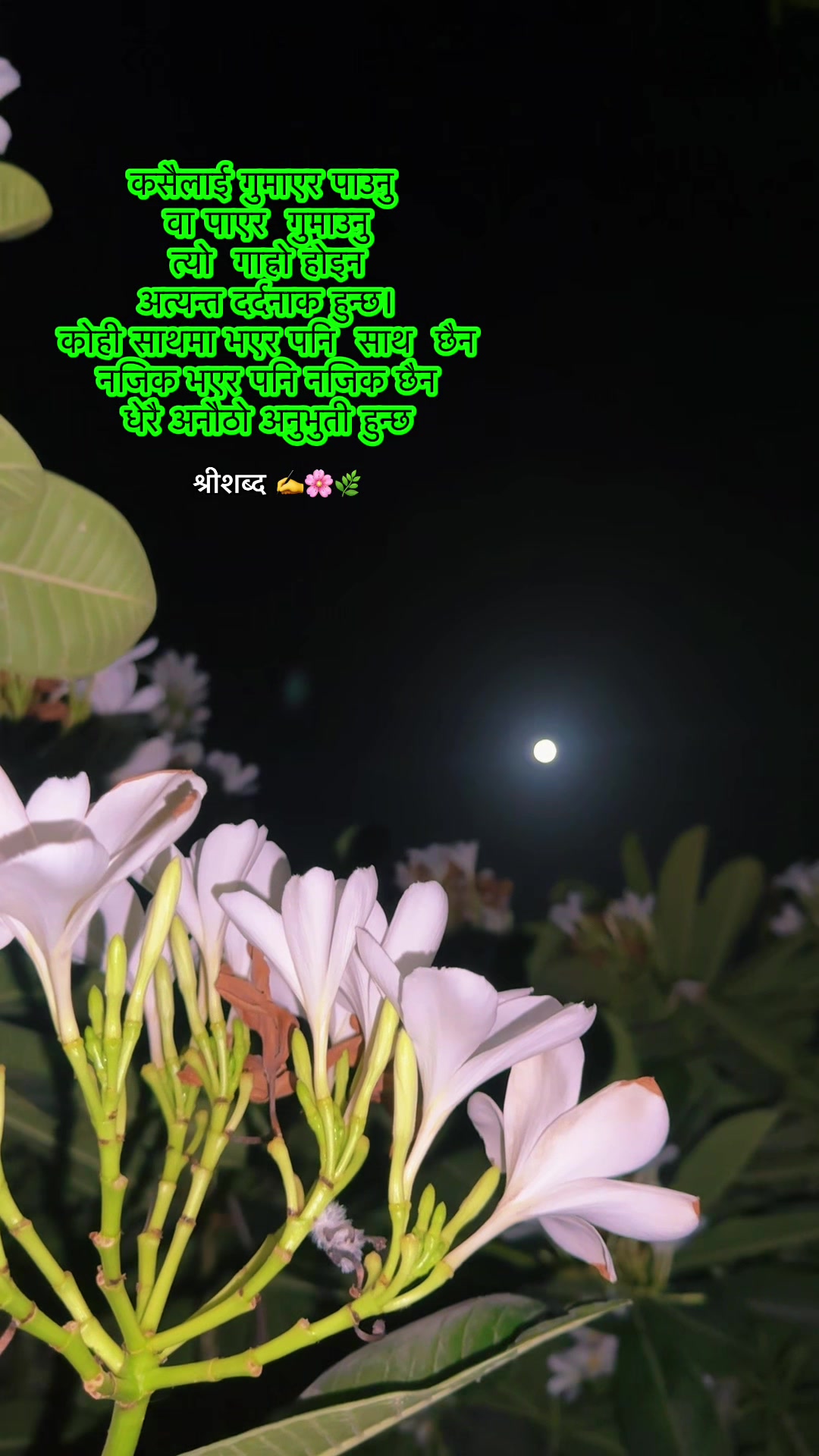 @🌿श्रीशब्द&hellip;.✍️🕊️🍁🍂