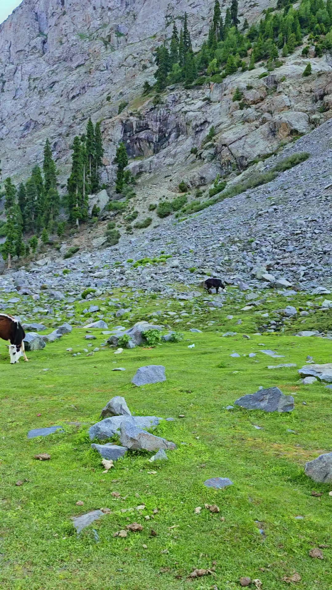 @Travel with Shahid 77