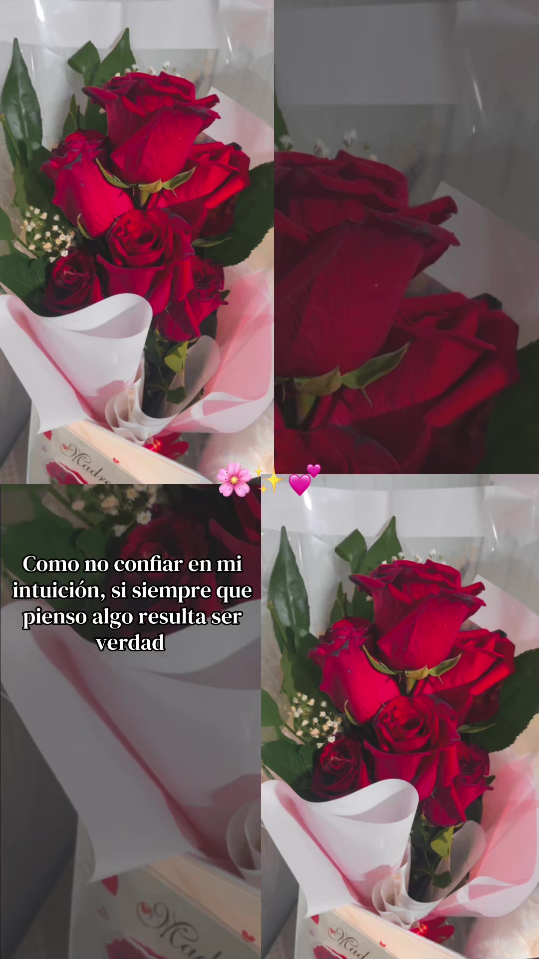 @~NayeAlexandra🌈