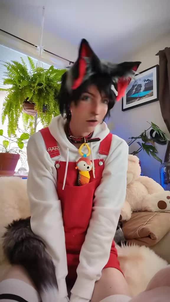 @Starlit Wolf