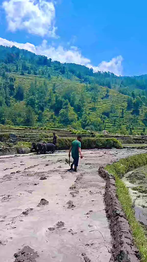 @Sujan gautam