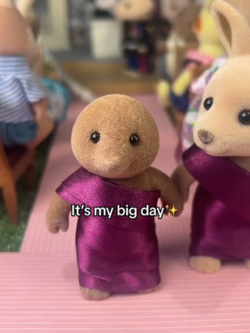 @sylvanian.nodrama