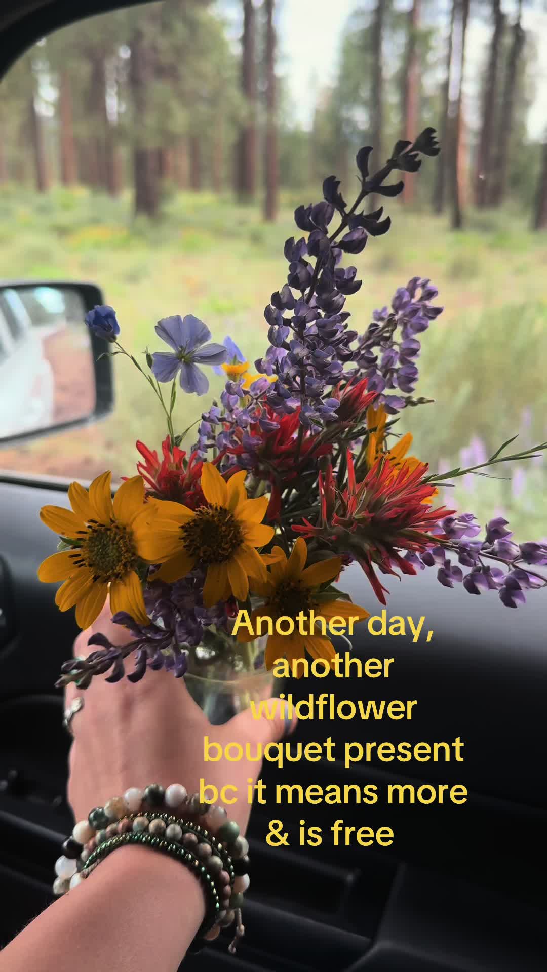 @audg🍄🐛🦋