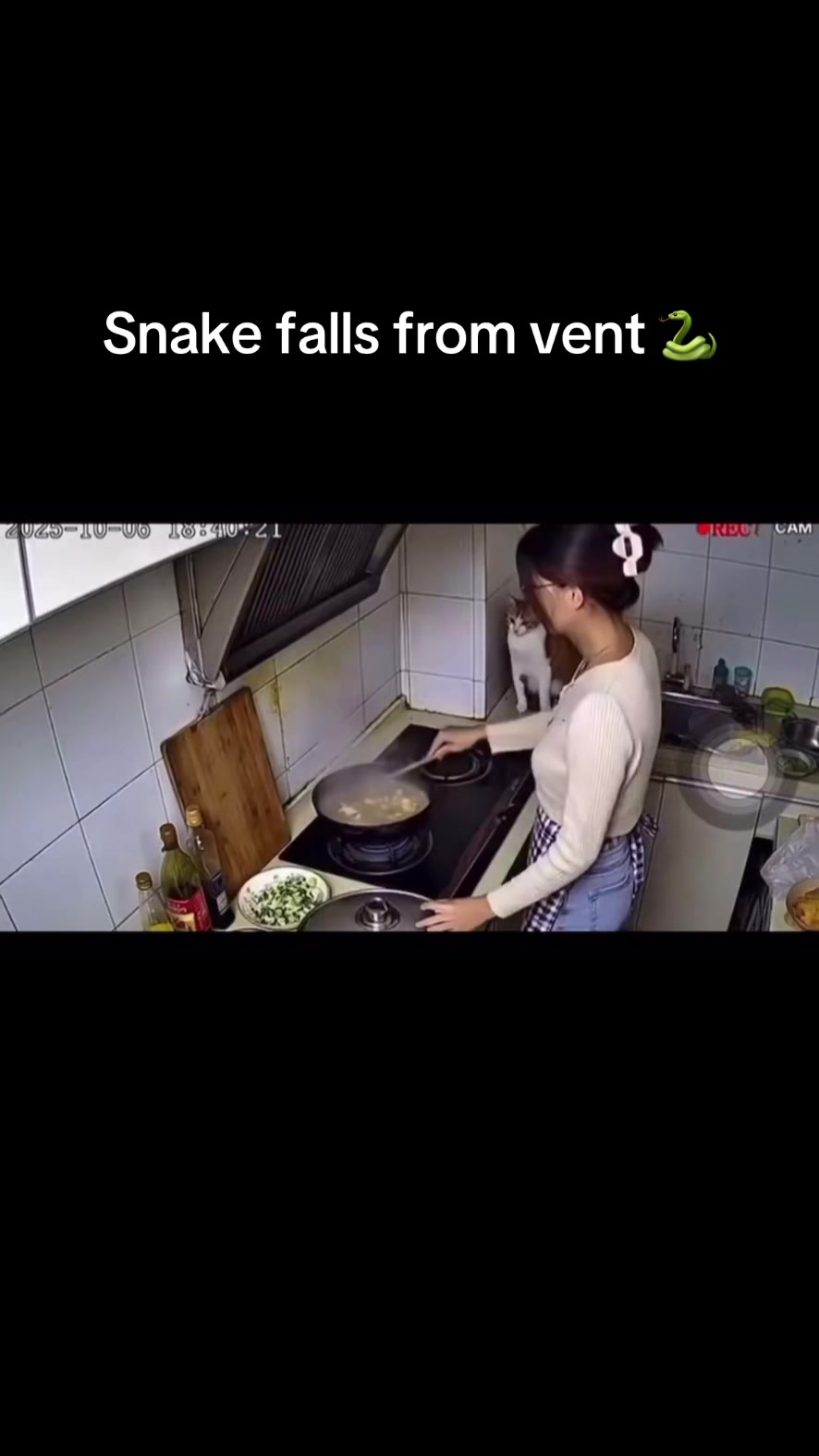 @ratchetnewstv566